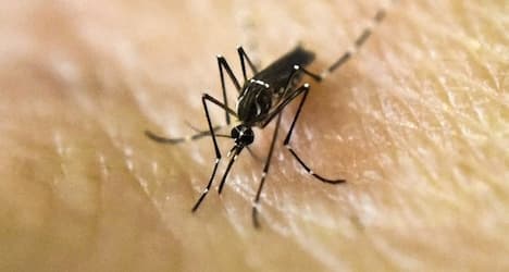 WHO releases initial Zika virus response plan