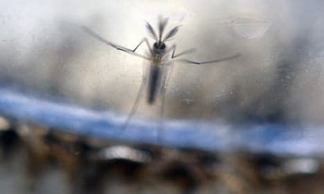 First sexually-transmitted case of Zika found in France
