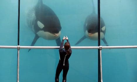 French Riviera's Marineland accused of 'mistreating orcas'