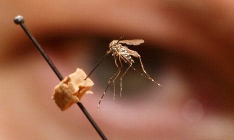 Three Norwegians test positive for Zika virus