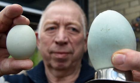 Farmers crack own record with 'world's biggest egg'