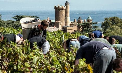 Climate change means French wines face identity crisis
