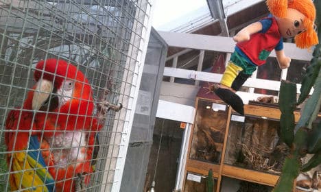 Swedes protest Pippi parrot's 'death sentence'