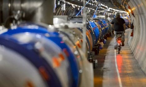 Rogue weasel shuts down Switzerland's Hadron Collider
