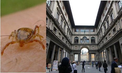 Ticks infest Italy's most famous art gallery
