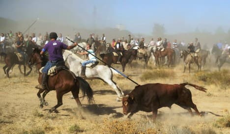 Spanish region bans bull killing in traditional festivals