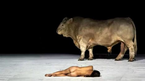 Campaigners demand opera drops bull from starring role