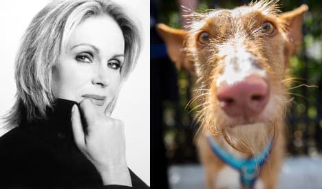 Joanna Lumley demands end to Spain's hunting dog cruelty