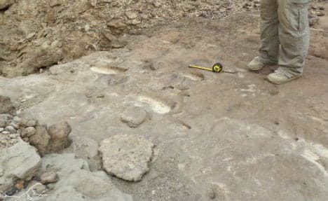 Italian team finds earliest footprints of Homo Erectus