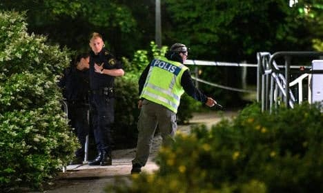 Swedish police fear serial rapist on loose in Malmö