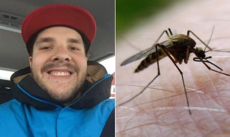 This Swede is the world's best mosquito catcher