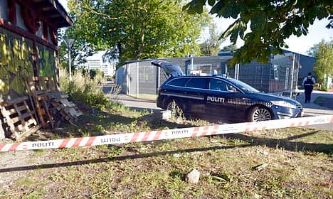 Female jogger left 'near death' in Copenhagen attack