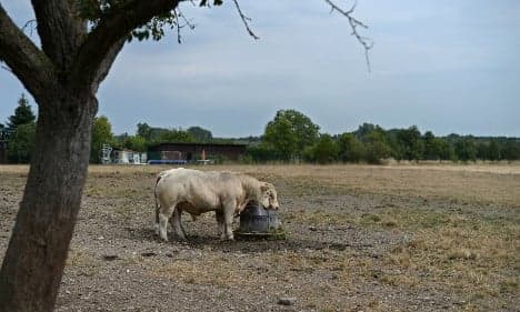 Drought forces France to roll out water restrictions