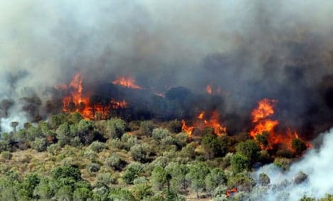 Wildfires burn 1,000 hectares in south western France