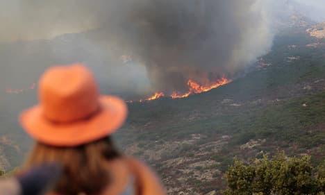 Corsica bushfire leaves 500 hectares scorched