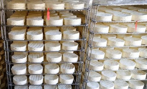 France's last 'real Camembert' cheese fights for survival