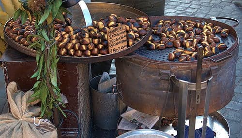 Wasps and weather threaten Italian chestnuts
