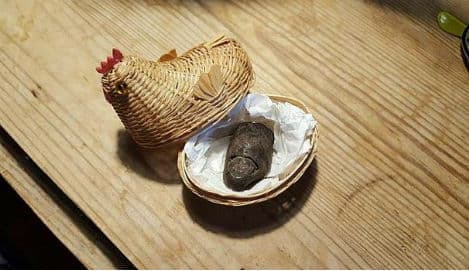 Danish bog mummy's missing toe returned after 60 years