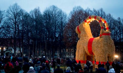 Trial of drunken Christmas goat burner begins in Sweden
