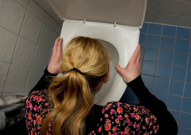 Watch out for wave of diarrhoea in Sweden this Christmas