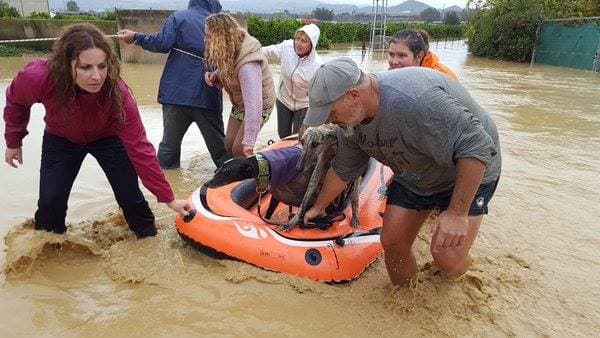 Two drown in flash floods as torrential rain hits southern Spain