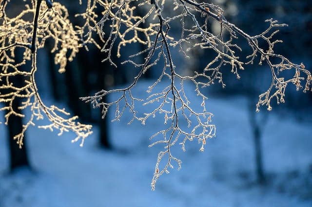 Freezing rain, ice and snow due to hit Sweden