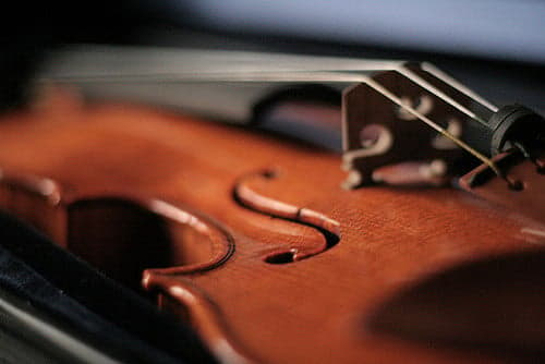 Vienna Conservatory professor's prized violin stolen on train