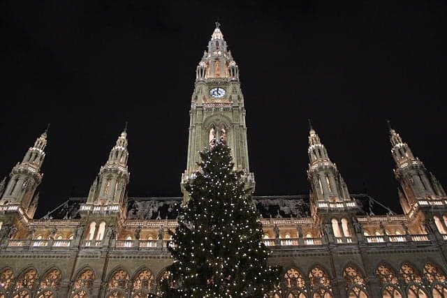 Iconic Christmas tree in front of Vienna's Rathaus taken down