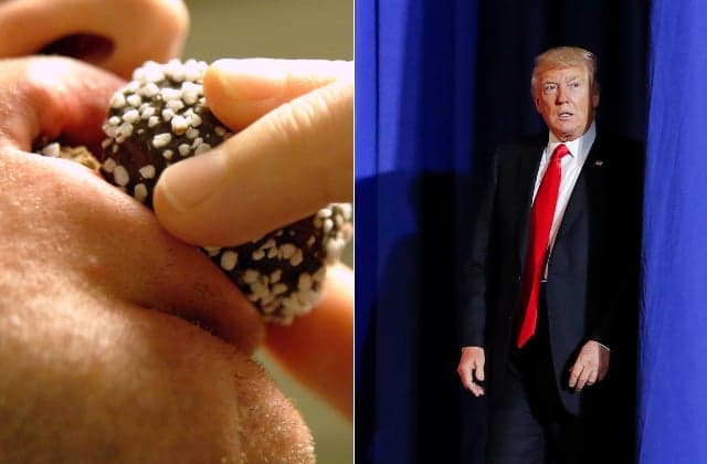 Swedish chocolate ball mocks Trump with 'alternative facts'