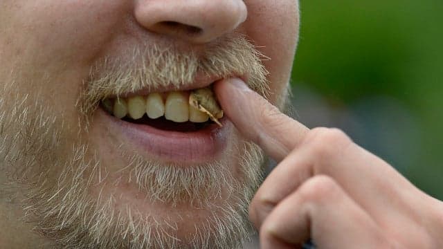 Snus as likely to cause type 2 diabetes as smoking, Swedes warned