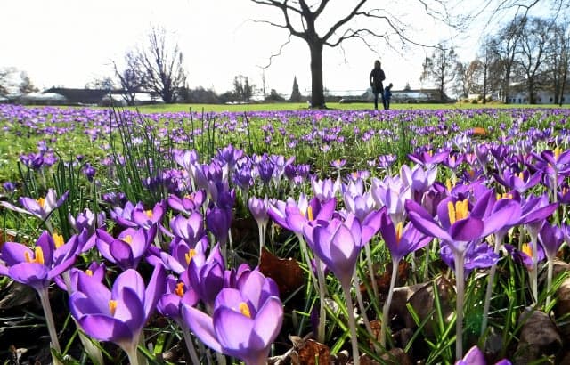Sweden to bask in warm spring weather this weekend