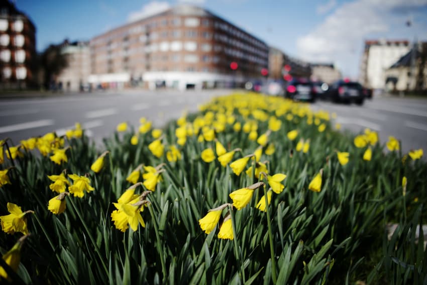Denmark set for warmest day so far this year