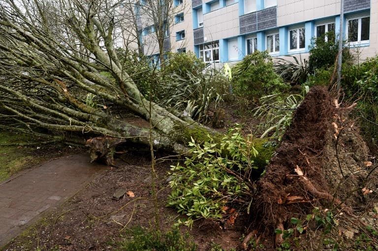 Two killed and 220,000 homes without power as storm Zeus lashes France