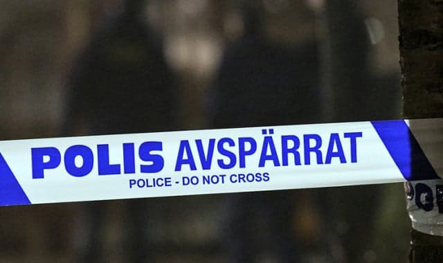 Two dead in eastern Sweden 'murder' mystery