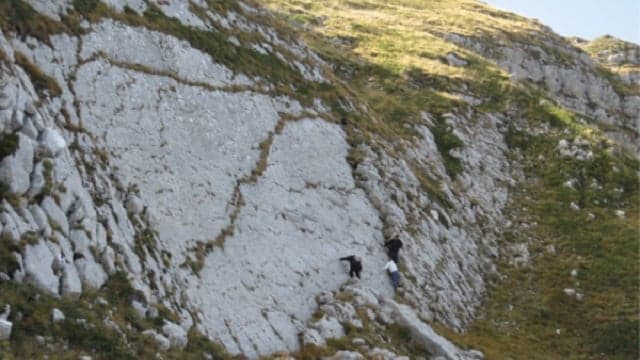 VIDEO: Footprints of Italy's largest dinosaur discovered in Abruzzo