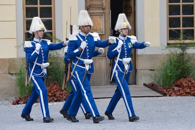 King Carl Gustaf's guards are under attack – from aggressive birds