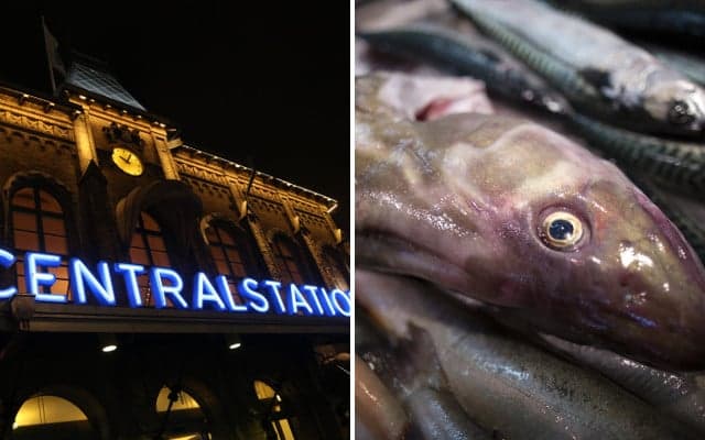 Gothenburg 'bomb' turned out to be pile of fish
