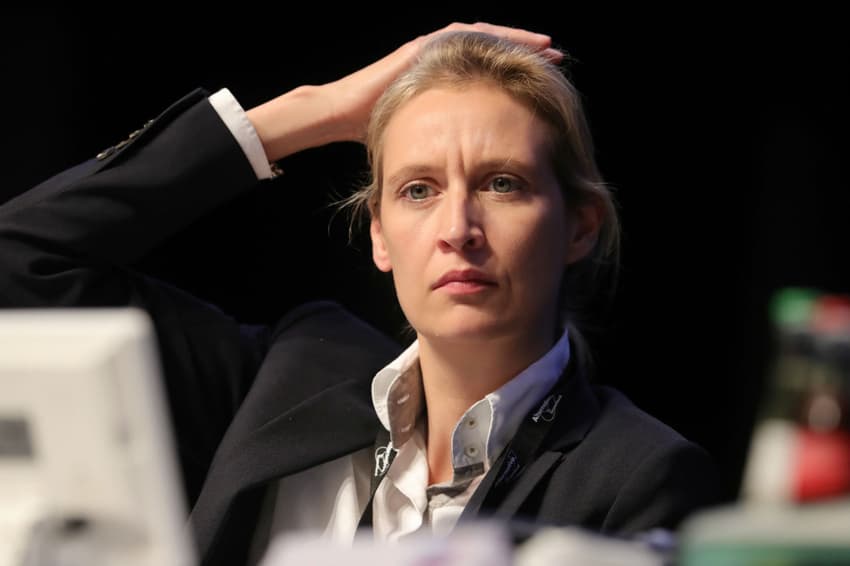 Far-right AfD picks openly gay leader for election battle