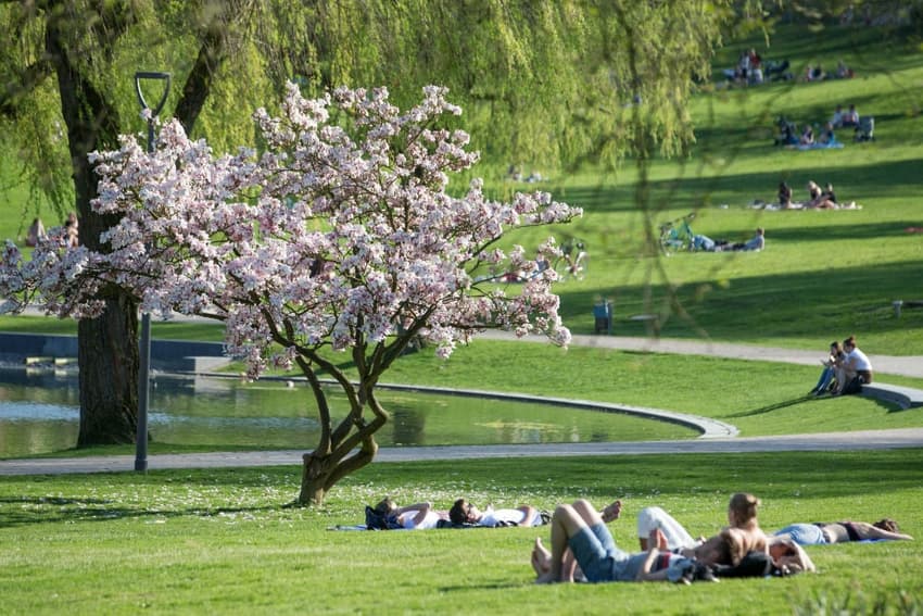 Eight wonderful ways to celebrate spring in Germany