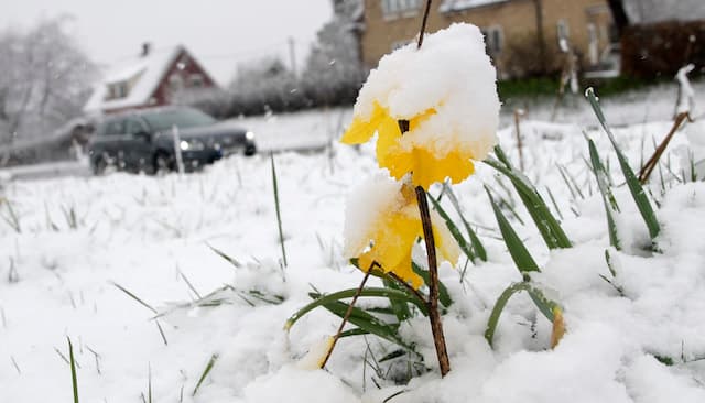30cm snow in April? Please tell us you're joking, Sweden!