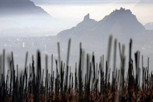 Frost proves catastrophic for Swiss winegrowers