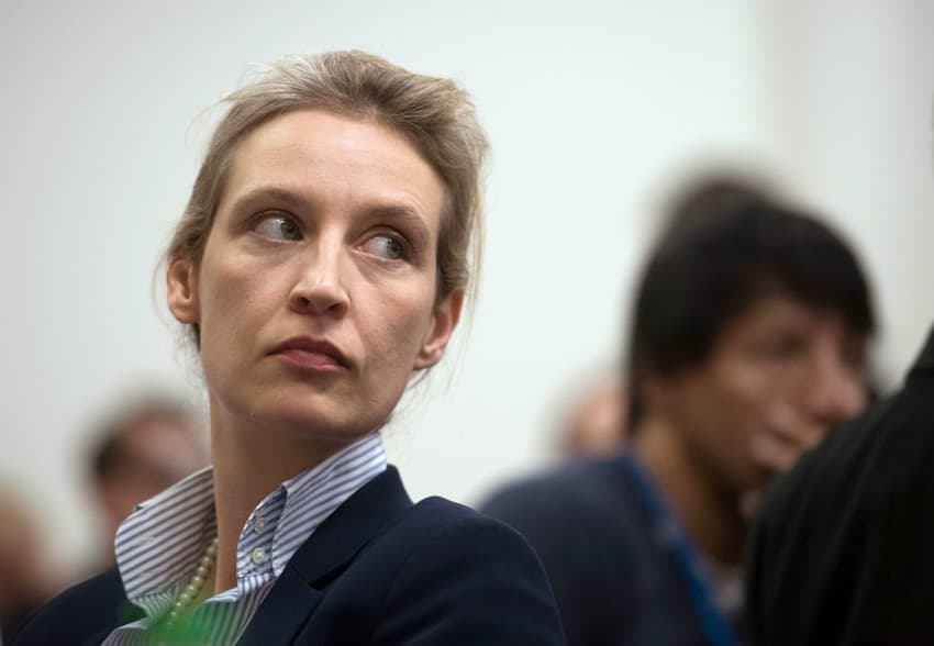'Merkel is insane': meet the woman leading the AfD into the elections