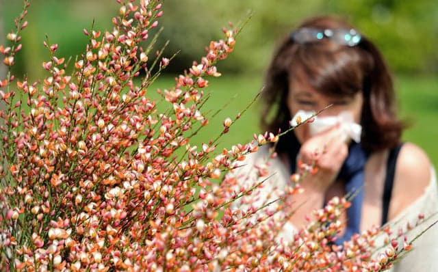 Allergy sufferers warned as most of France placed on alert for high pollen levels