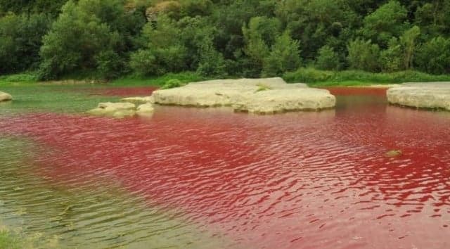 River in France turns blood red... but there's no need to panic