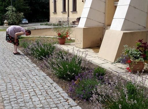 Switzerland helps create 'garden therapy' centre in Poland
