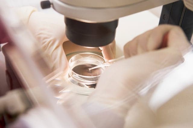 Swiss to allow genetic testing of in-vitro embryos from September