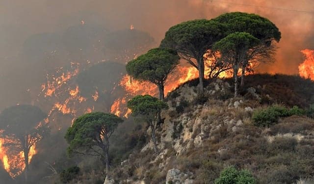 Italy wildfires: Homes evacuated in Rome and Naples as police arrest four suspected arsonists