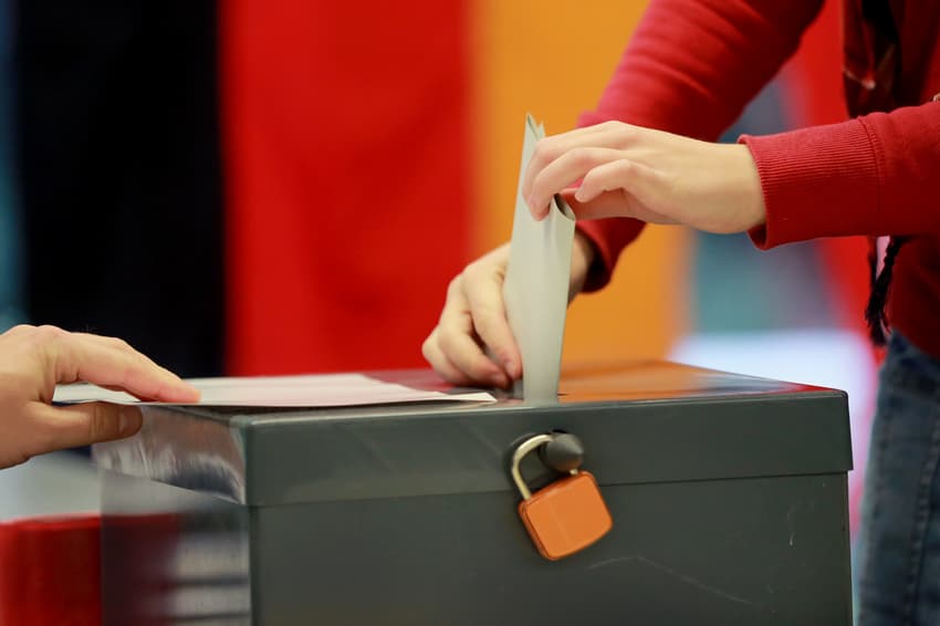OSCE mulls monitoring German election, as far-right complains of 'massive interference'