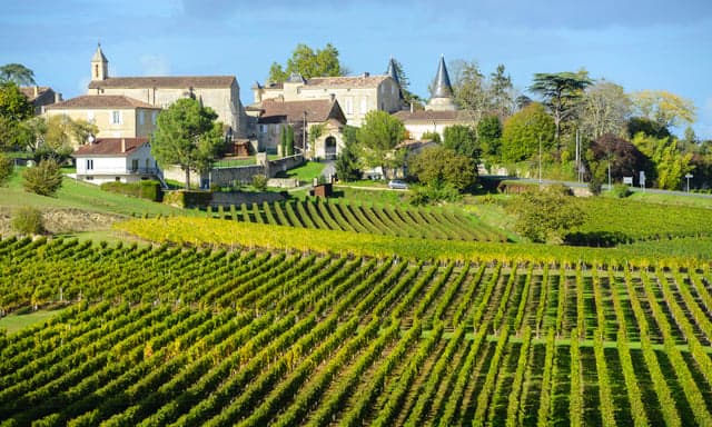 French wine production at 'historically low' levels