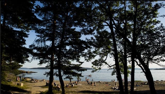 Dry Swedish summer creates forest fire risk and low water levels